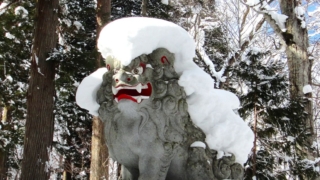 Thumbnail of post image 061
